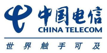 電信卡臨時不用怎么辦？套餐需取消與復機指南